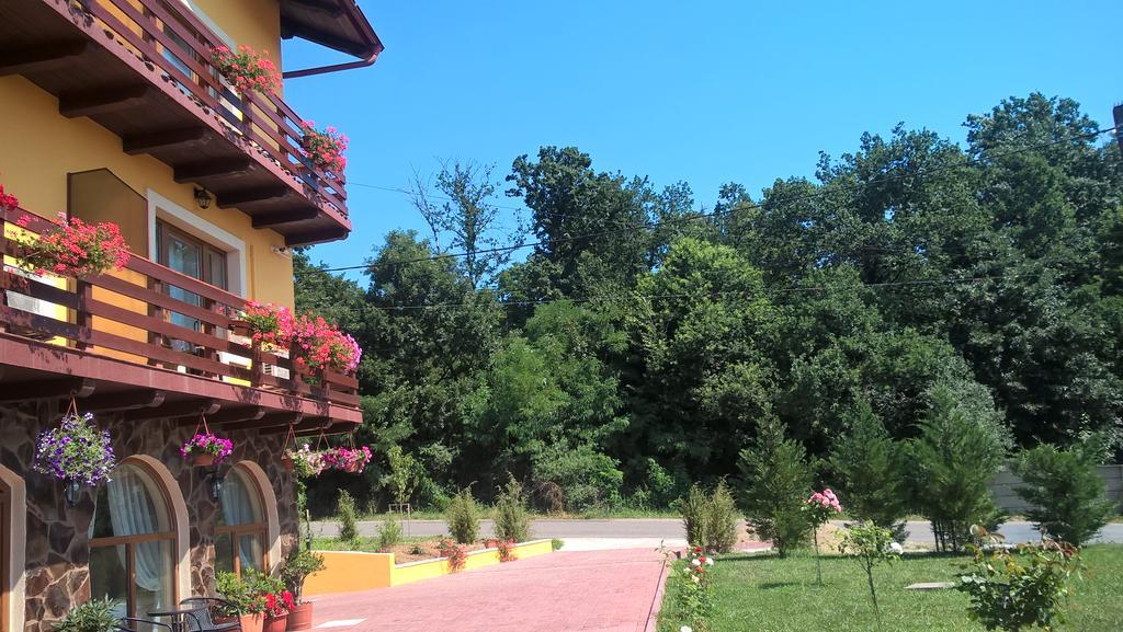 Allegra Băile Felix Exteriér fotografie